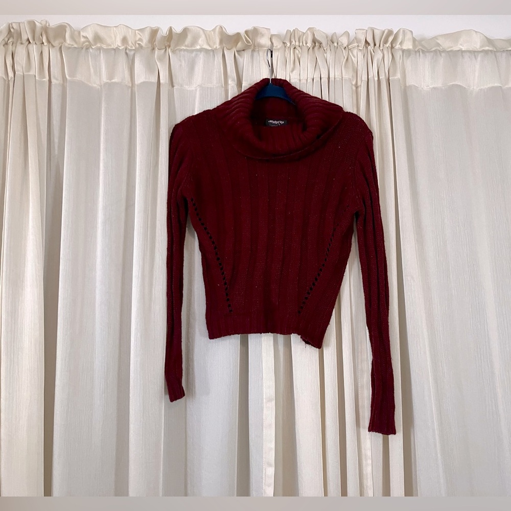 🌸 3 for $10 / Maroon Turtleneck Sweater